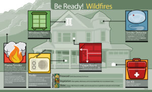 infographics-br-wildfires